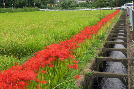 https://seishinhoken.jp/files/articles__contents/m/01m34a25m9qg3dkdyknk9gek4y.jpg