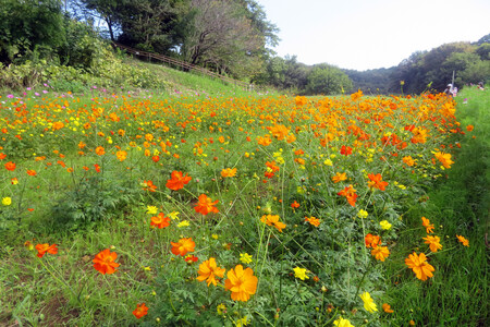 https://seishinhoken.jp/files/articles__contents/m/01m51sf5hssmdtgk963yk6s7dd.jpg